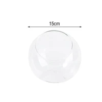 8/10/12/15CM Clear Glass Ball Vase Micro Landscape Succulent Plant Terrarium Container Flower Pots Home Decor Vase Decoration - Image 4