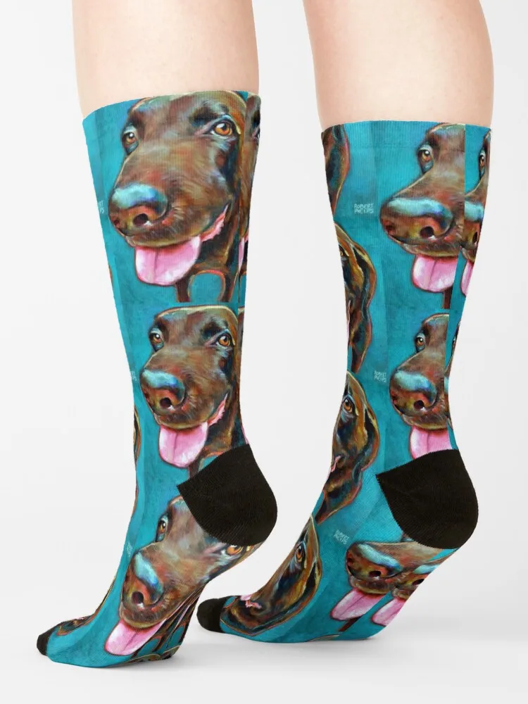 Chocolate Labrador on Blue by Robert Phelps Socks Man socks valentine gift ideas
