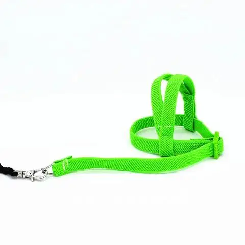 

Ultralight Portable Pet Plaything Supplies Hot Sale Anti-bite Flying Training Rope Parrot Bird Pet Leash Kits Soft Harness Leash