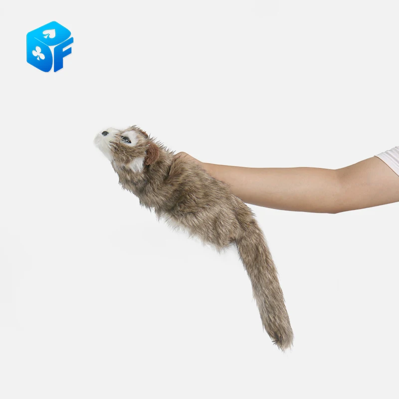 Générique The Rocky Raccoon Robbie Magic Trick