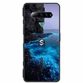 B06.CH.136