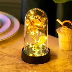 Eternal Galaxy Rose in Illuminated Dome - Romantic Gift (14 gold)