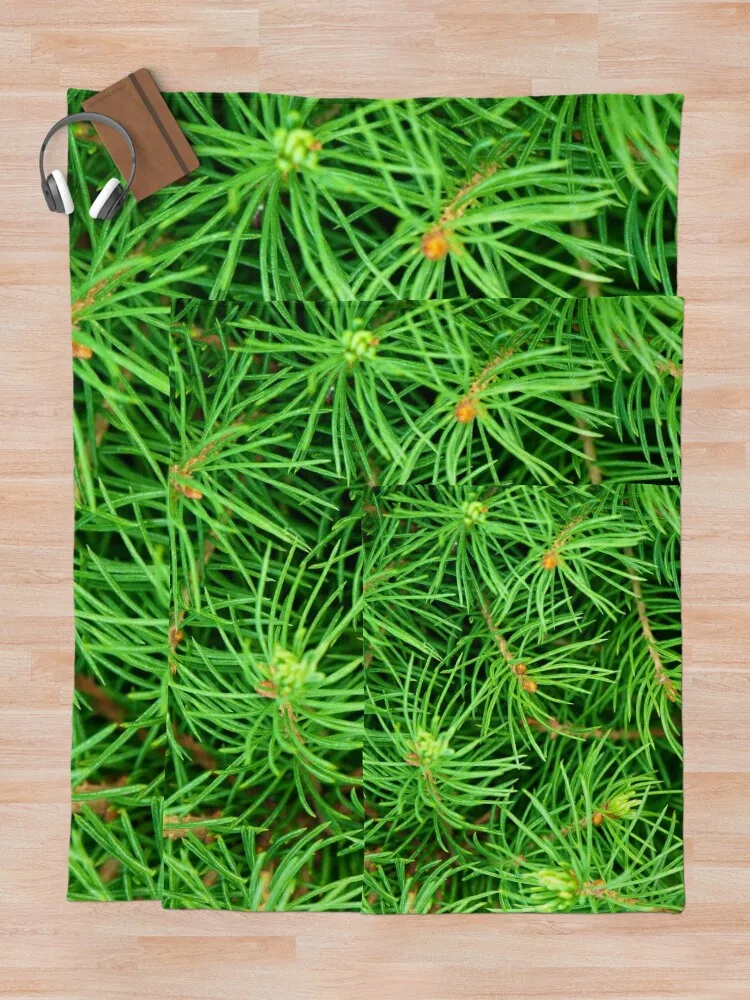 ���Ŀ� ��� ���, ũ�������� ����