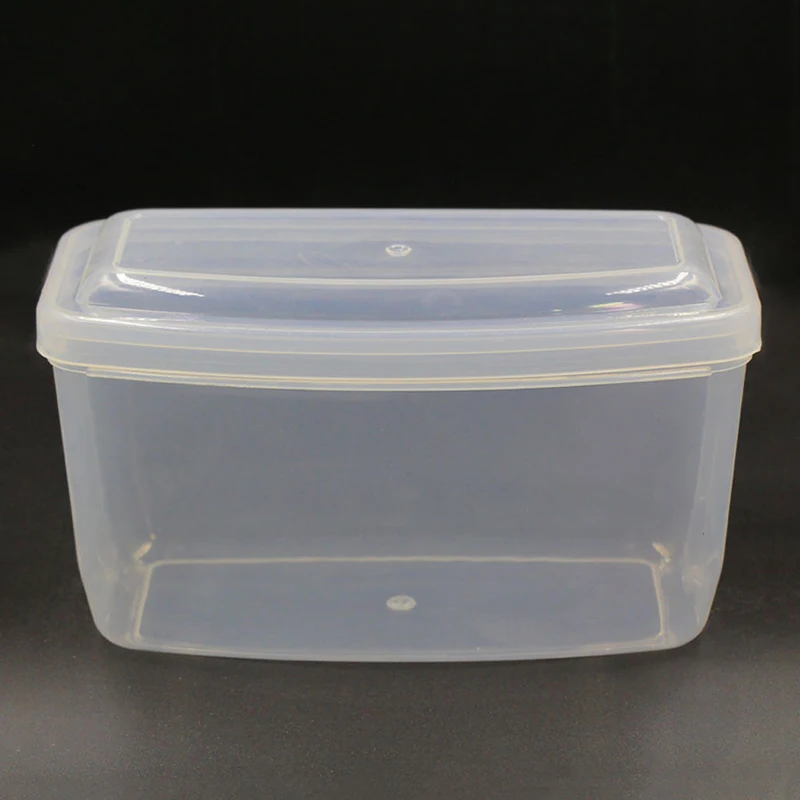Scuba Diving Mask Hard Storage Case - Transparent Protective Container