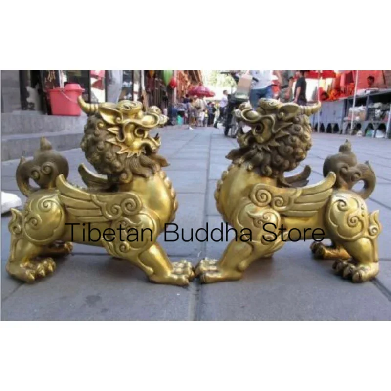 A pair Fengshui talisman Door Fu Dog Lion Lucky pixiu beast kylin Brave troops 3