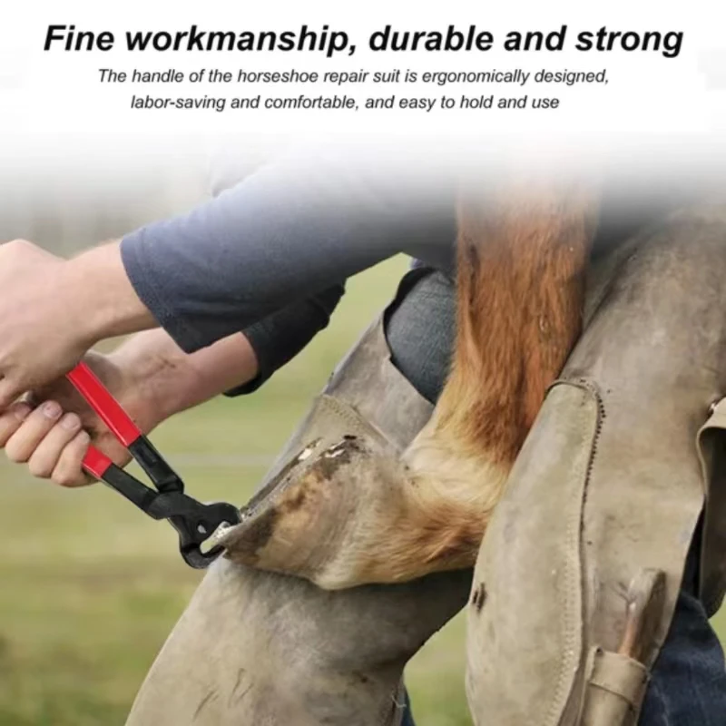Farrier Tools 14-inch Horseshoe Trimming Sets，Contain Hoof Rasp Horse Nipper Knife  Brush，Professional 4 in 1 Hor 3