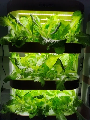 Hydroponic intelligent multi-layer vegetable planter indoor soilless cultivation equipment for vegetable seedlings 5