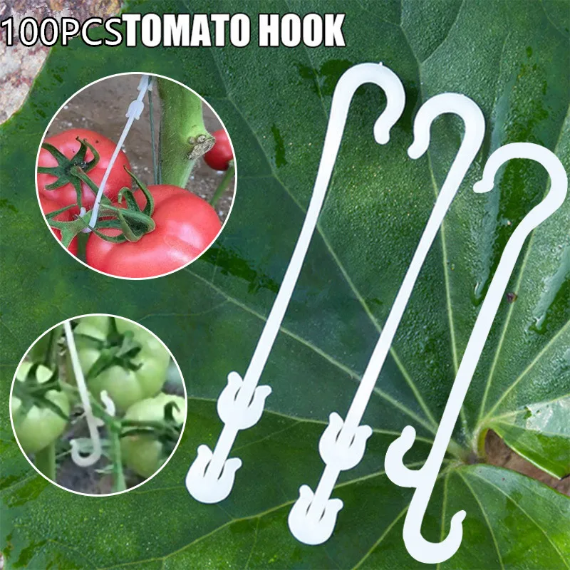 

J Shaped Fruit Cherry Tomato Ear Hook Vegetable Plant Support Vines Fastener Clips Trellis Fixed Buckle Hook Garden Accesorries