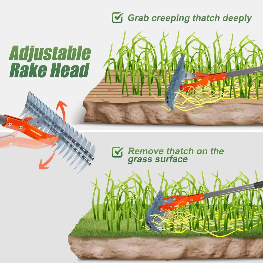 Weeding Steel Thatch Rake with Adjustable Double-Sided Rake Tine Detachable Long Handle Garden Grass Grooming Rake for Lawn 4