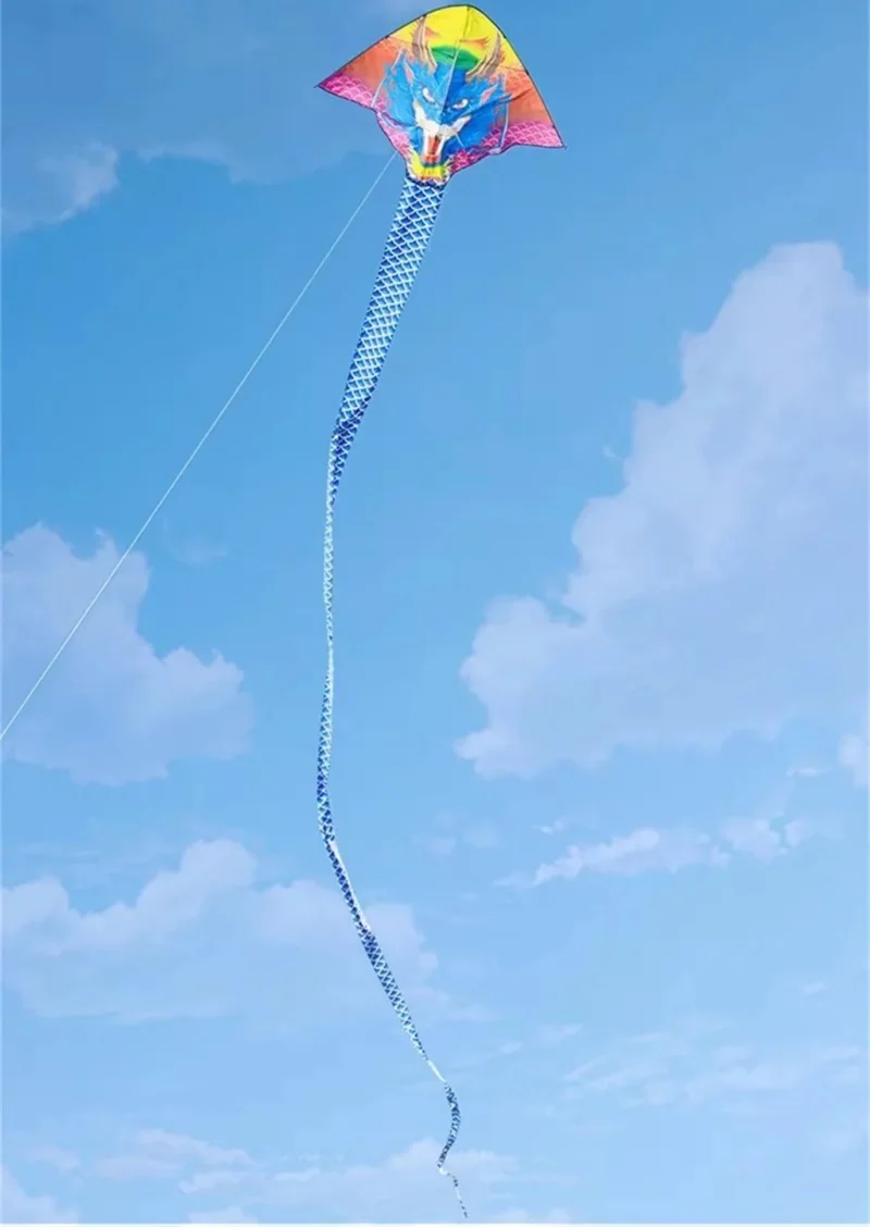 Free shipping Traditional flying dragon kite 2024 new Chinese dragon large upscale adults special long dragon kite long tail koi 4