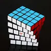 Ayi's Toy 5x5x4 Full Function Cuboid Twisty Puzzle Black White Ice Blue Body Limited Version Magic Teenager Adult Toy Brain 4
