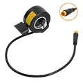WP Plug 1pc