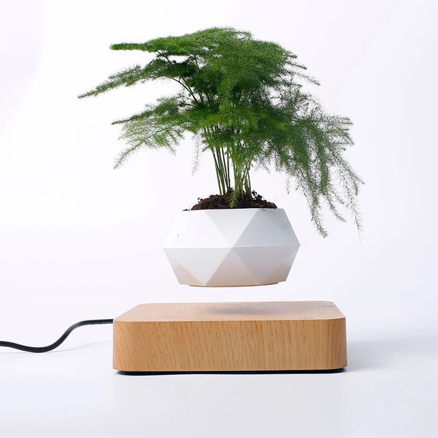  Floating Plant Pot - Levitation Air Bonsai Pot