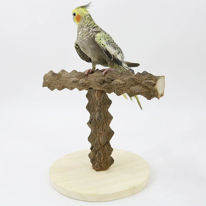 Parrot T-shaped Sichuan pepper wood game stand, bird stand, pole climbing ladder, parrot toy training supplies
