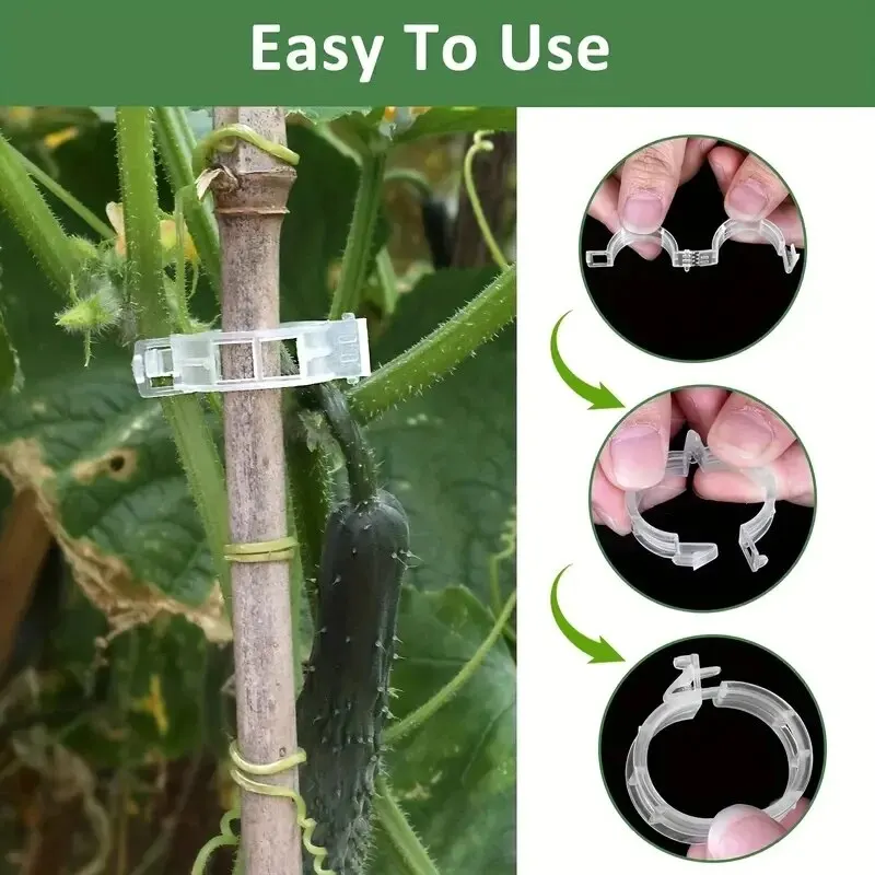 Plant Support Clips Garden Support Clips GrapeVine Tomato Vine Vegetables Plants Trellis Clips To Grow Up 50pcs