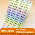 Marine Animal