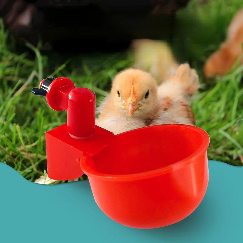 Plastic Water Feeder Poultry Automatic Drinking Bowl Quail Water Cup