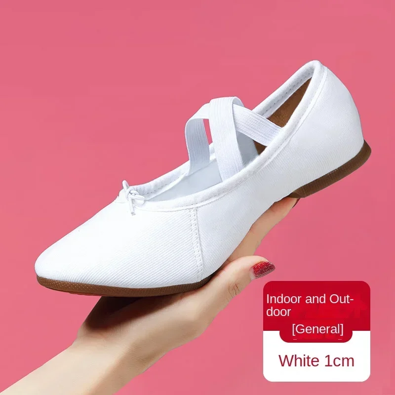 Adult Jazz Ballroom Canvas Dance Shoes Women Teacher Soft Sole Latin Modern Dance National Standard Practice dance shoes