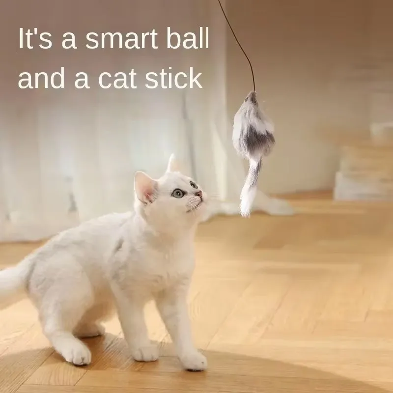 Electric Interactive Cat Ball 6
