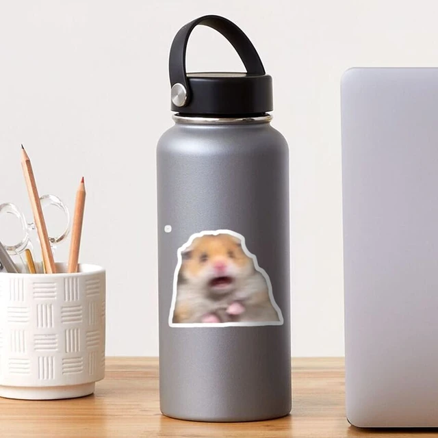 Gourde Inox 600 Ml – Mother Of Hamsters – Funny – Sport & Voyage