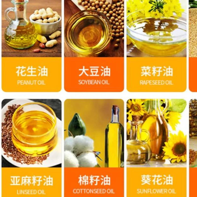 1170W High Efficient Sunflower Oil Press Machine Automatic Peanut Oil Press Machine Stainless Steel Sesame Oil Press Machine 6