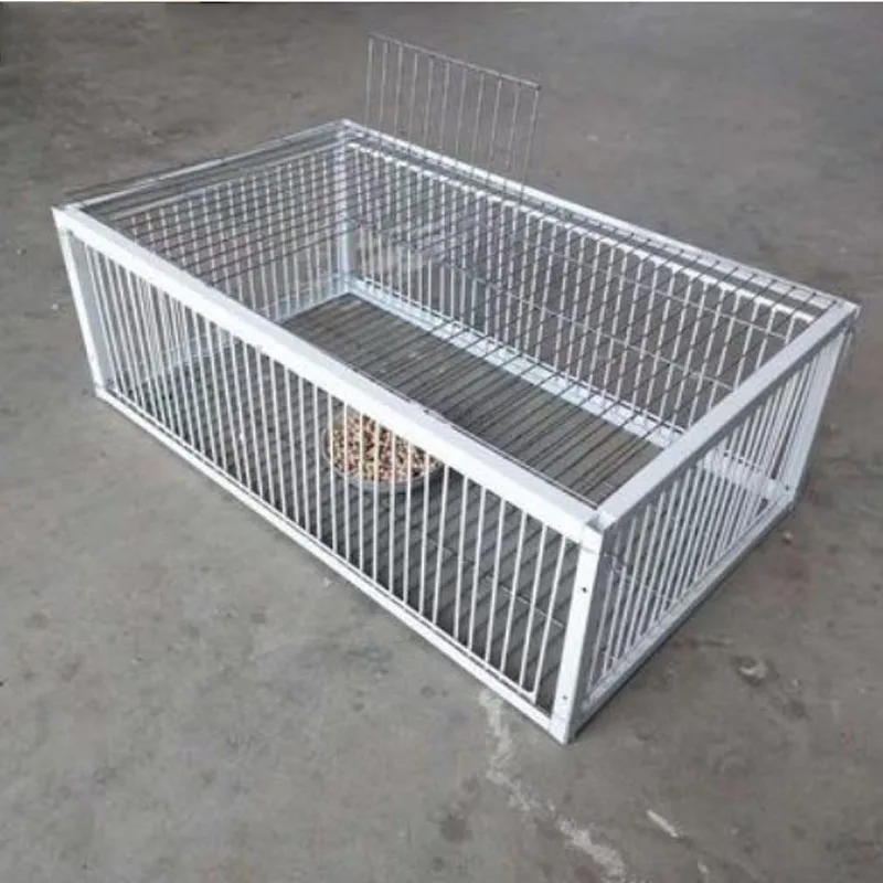 Mid Foldable Galvanised Pigeon Bird Trap Cage One-way Entrance Trapping Pigeons Doves bird feeder bird cage