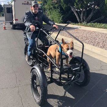 500W Electric Cargo Trike Bike 1