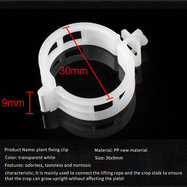50/100 Darabos Sűrítő Növény Rögzített Oltó Szőlő Paradicsomszegény Kötött Szőlővel Ág Kertészeti Mezőgazdasági Növényi Klip - Image 4
