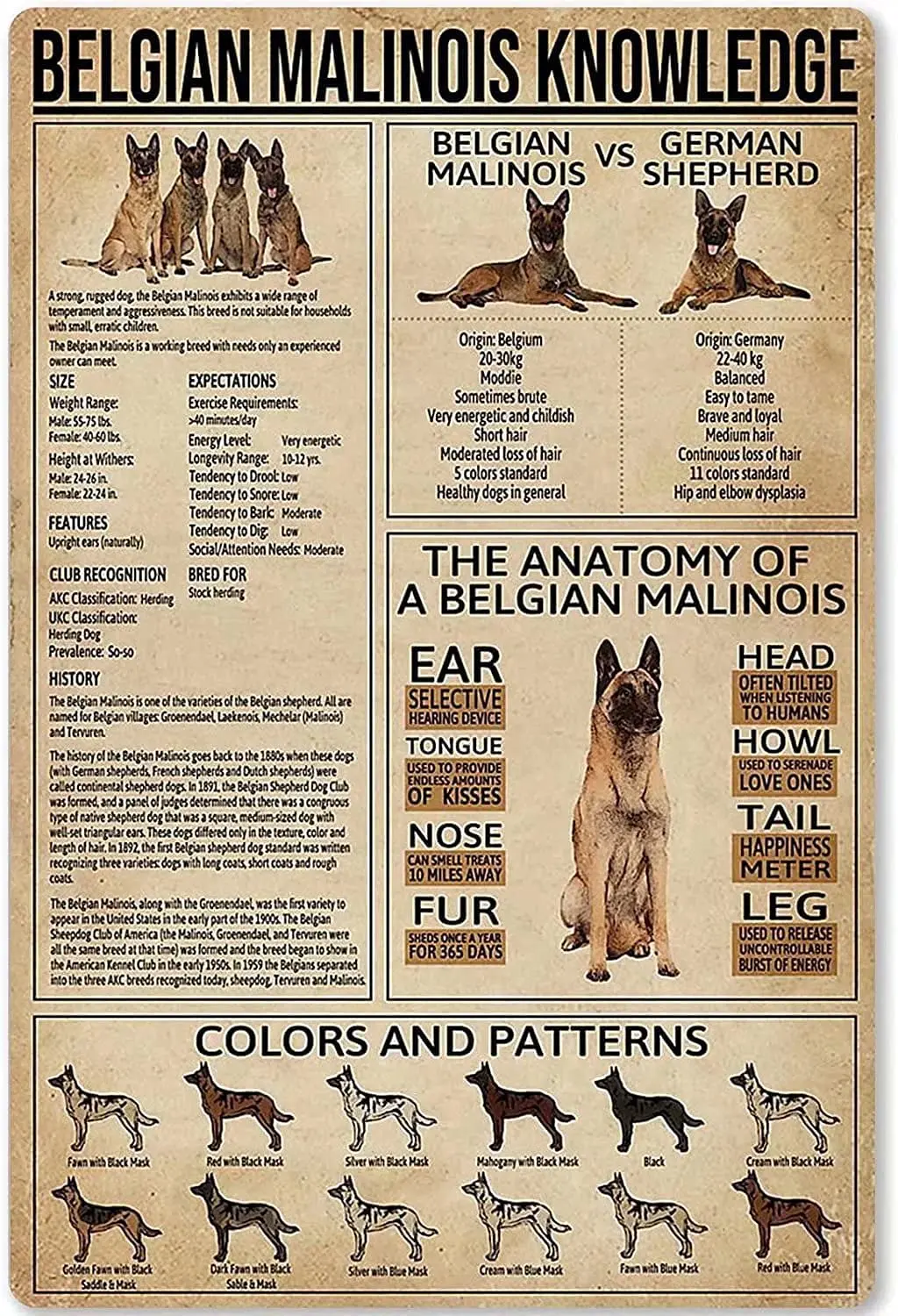 Poster All Akc Dog Breeds Akc Breeds Types Of Show Dogs Show Types