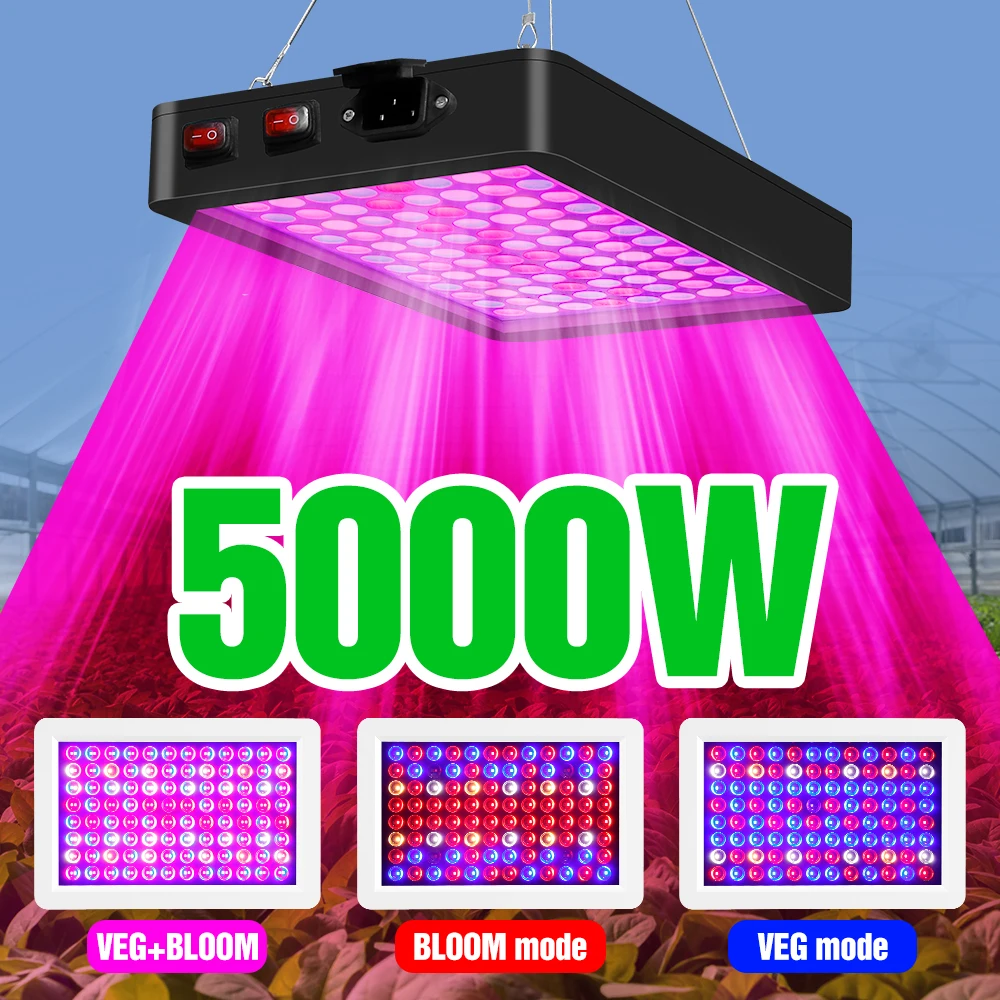 

4000W 5000W LED Grow Light 220V Quantum Board Full Spectrum Grow Lights For Indoor Greenhouse Phyto Lamp Plants Vegs Seedlings