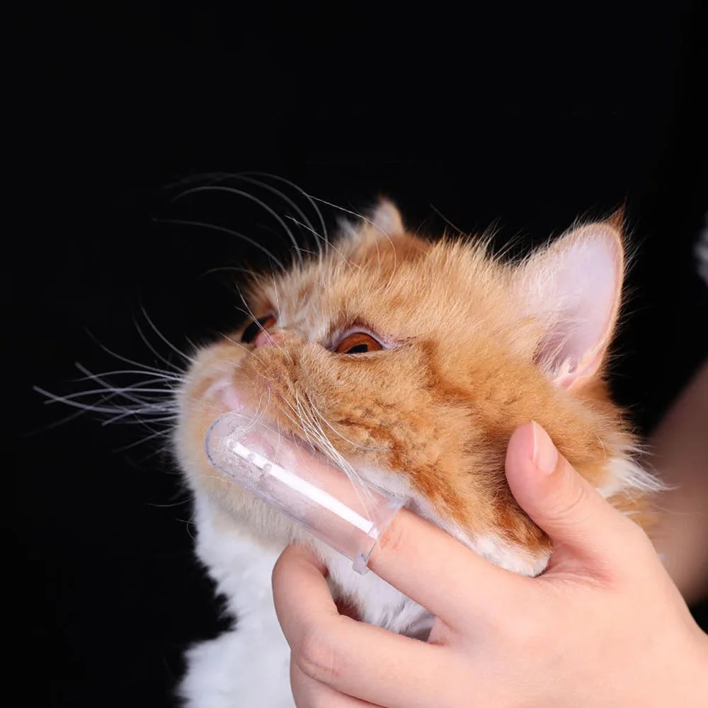 Title 10, Dog Toothbrush Pet Fingertip Toothbrush for Cat...