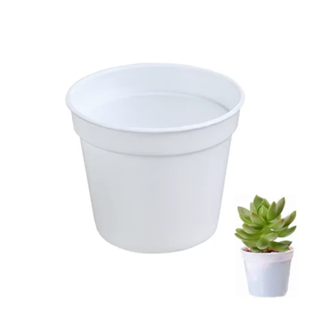 White-10pcs