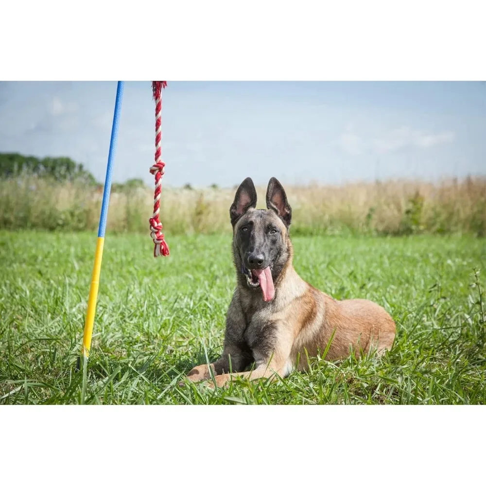 Kit | Interactive Outdoor Dog Toy | Endless Tug-of-War Toy for Large & Extra Large Dogs Over 70 lbs. 2