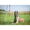Kit | Interactive Outdoor Dog Toy | Endless Tug-of-War Toy for Large & Extra Large Dogs Over 70 lbs. 2