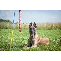 Kit | Interactive Outdoor Dog Toy | Endless Tug-of-War Toy for Large & Extra Large Dogs Over 70 lbs. 2