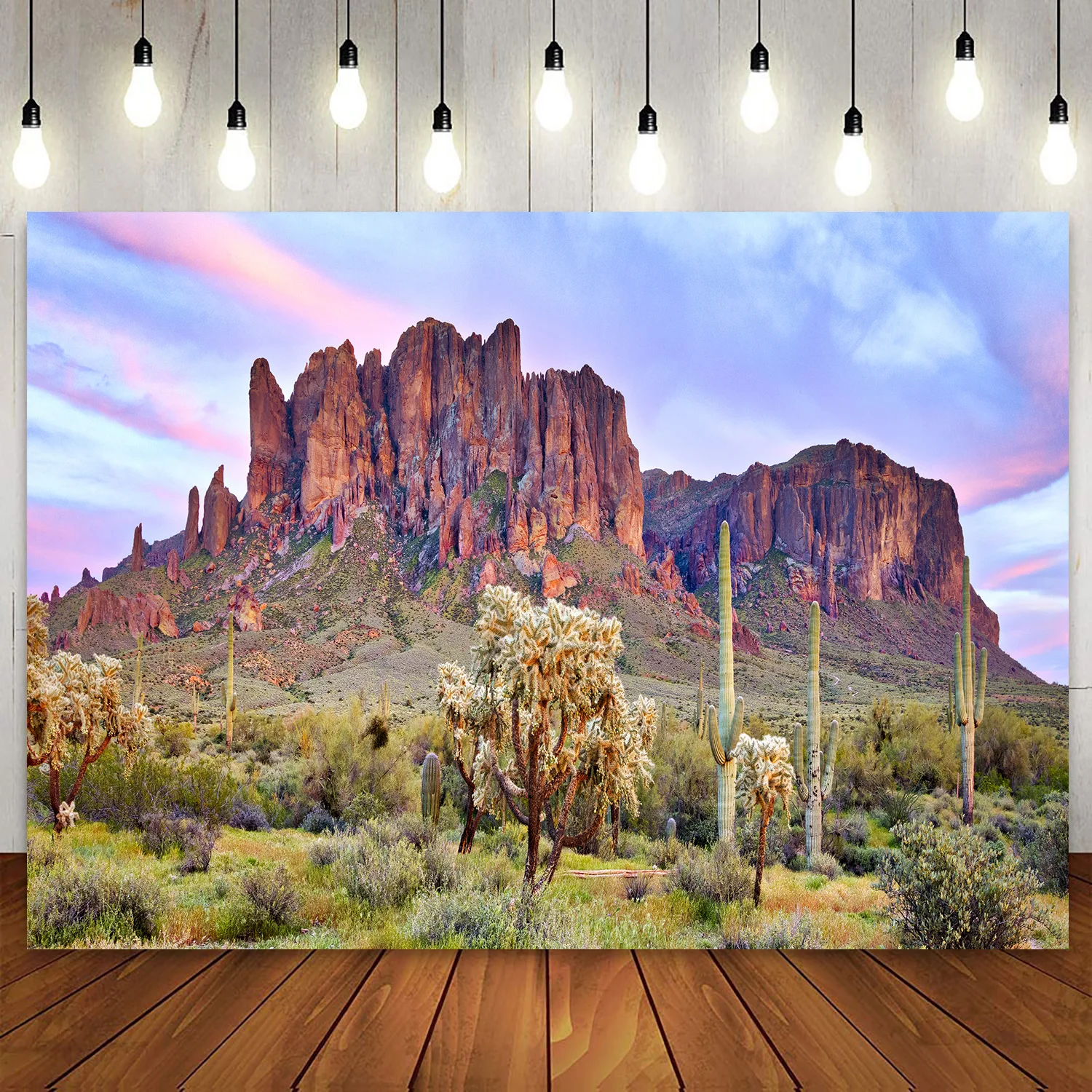 

National Park Nature Scene Backdrop Cactus Rocks Sunset Mountain Sonoran Desert Gobi Western Photo Studio Photography Background