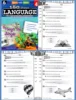 Children 180 Days of Language Level K- 6 Build Grammar Skills Reading Comprehension Skills Practice Workbook for Kid 6