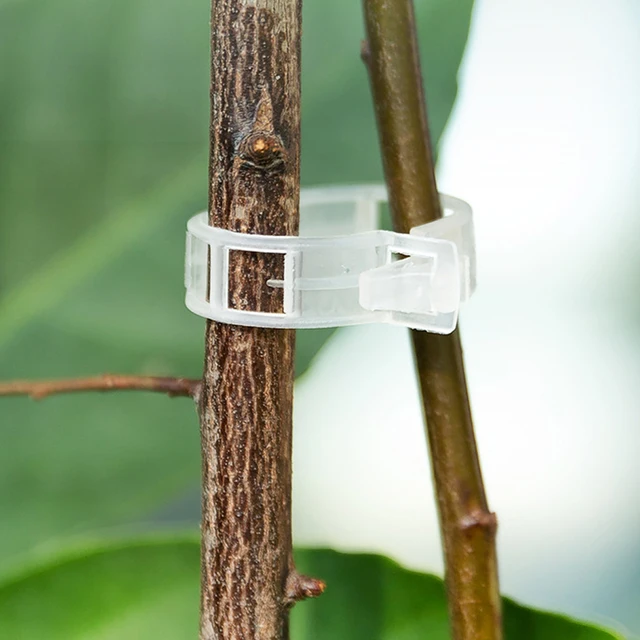 50/100 Darabos Műanyag Növényi Klipek Támogatók Összekötik Az Újrahasznosítható Védelem Oltását. Rögzítő Növény Zöldség Paradicsomos Szerszámok Kertkészletek - Image 5