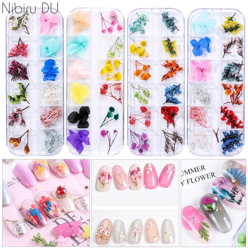 12 Styles Dried Flowers For Nails Decorations Natural Dried Goods