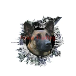 Fuwo Trading – autocollants de voiture réfléchissants, décalcomanies malinoises belges, en verre, chiens, scories, pour fenêtre, imperméables, Anti UV, style 