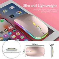2.4GHz Wireless Mouse Bluetooth Mouse Mice Rechargeable Mouse Silent Mouse LED Backlit USB Gaming Mouse 1600DPI for PC Laptop 2