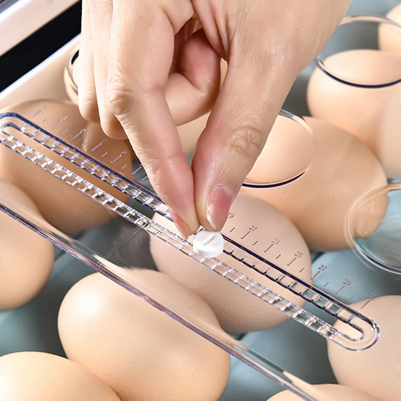 자동 롤 투명 계란 트레이 보관함, 디펜서 거치대 계란 해골