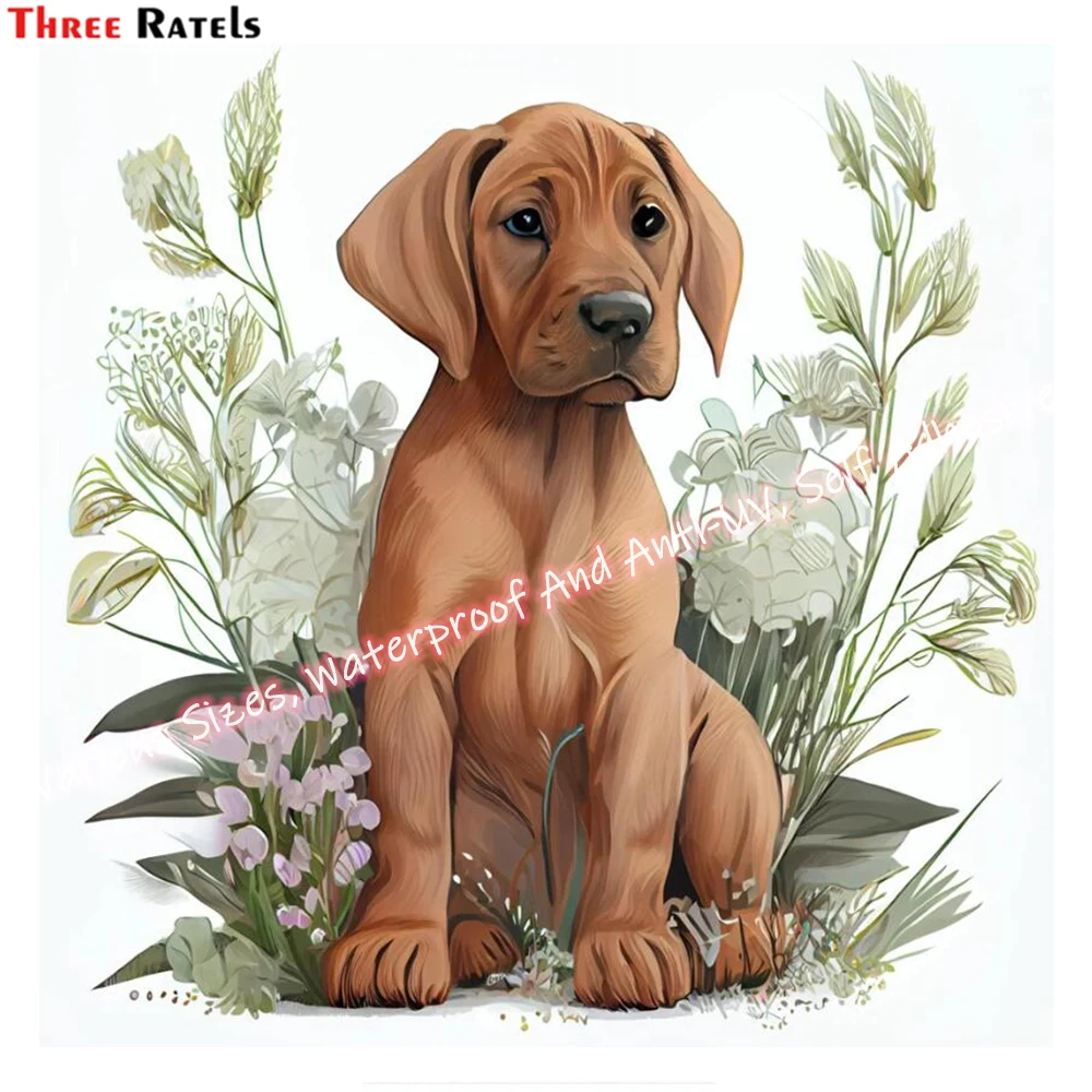 Tre Ratels M78 Rhodesian Ridgeback Clipart Dog Sticker Per Bedromm Wall Living Room Decoration Home Decor