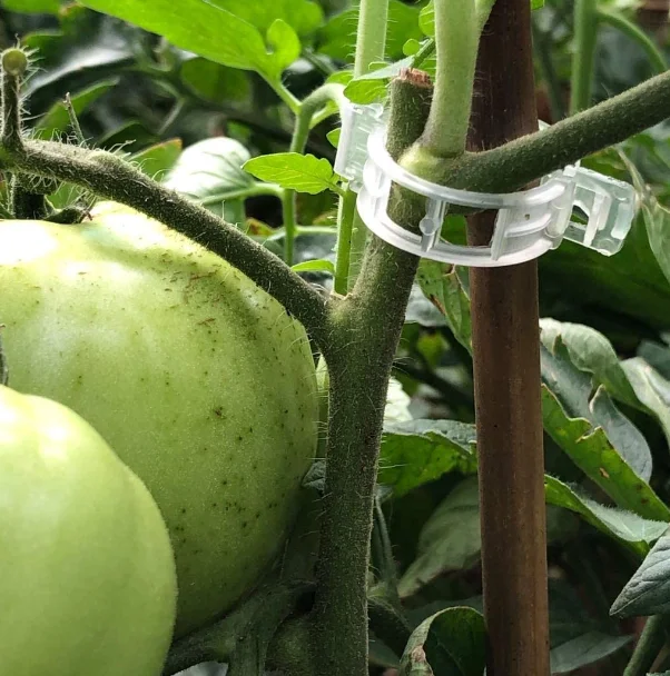 Wefaly 120 PCS Clips Pour Plantes, Clips Tomates En Plastique