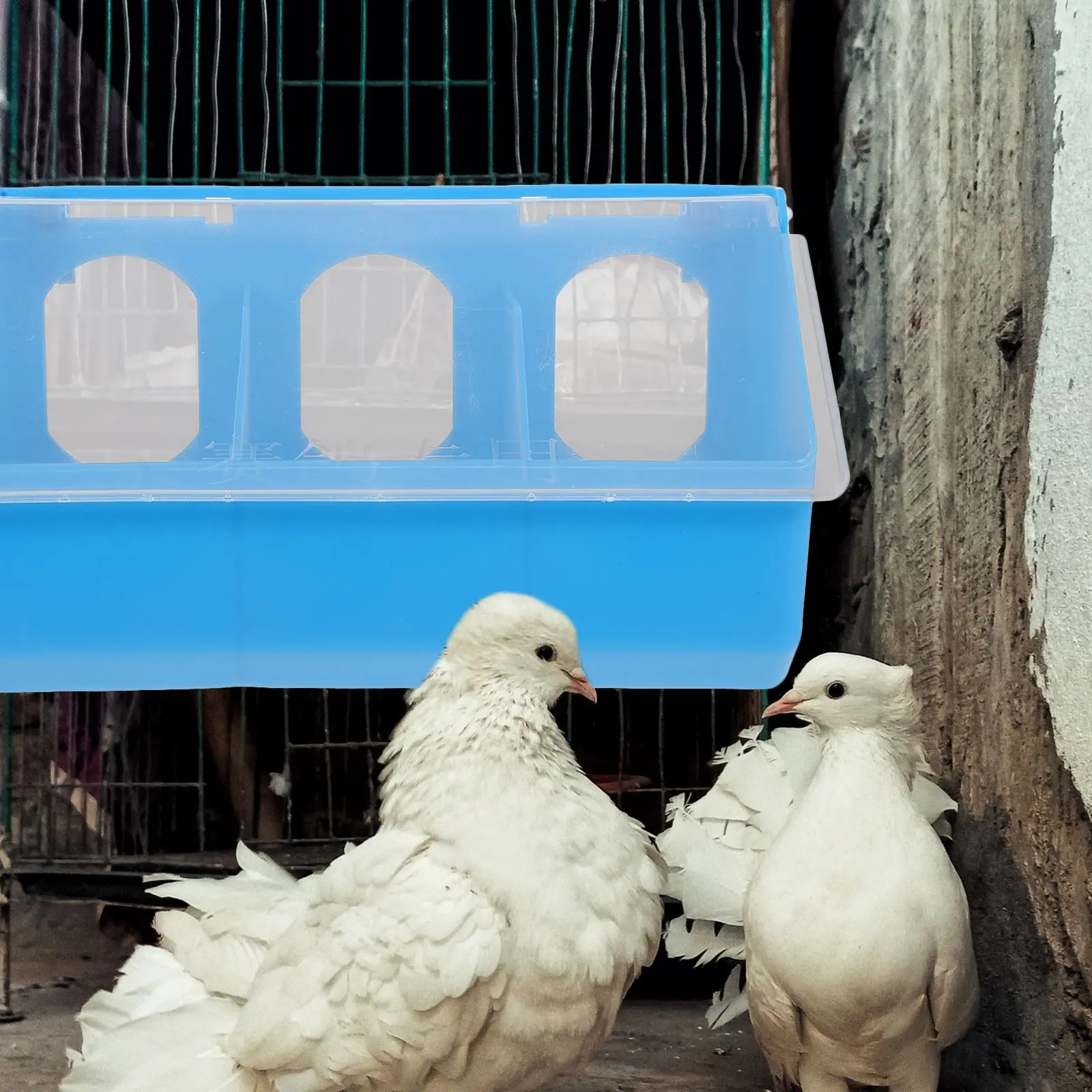 Hangable Bird Feeder Pigeon Feeder Multi-grid Pigeon Food Storage Box Bird Cage Hanging Water Bowl Cage