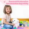Plush Interactive Toy Dog for Kid, with Leash Walking, Touch Control and Shake Tail Plush Toy  Electronic Pet Best Gift for Girl 6