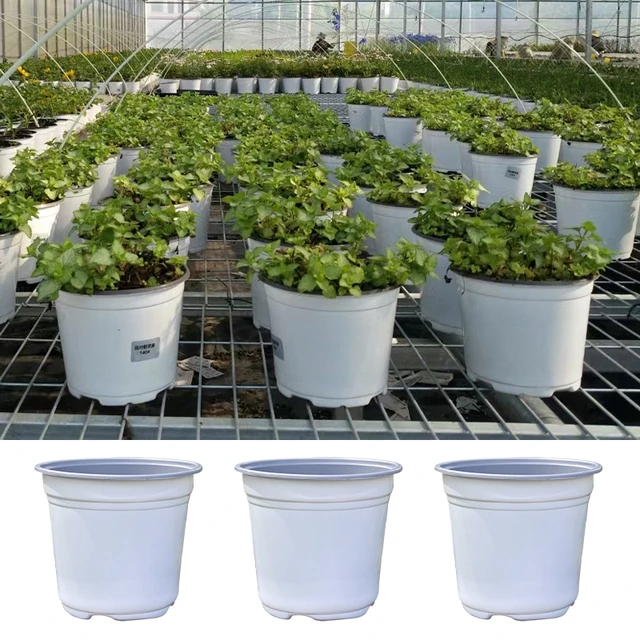 50 Darabos Műanyag Virágcserép -Termesztés Zamatos Növényekhez Kis Egyszerű Ültetési Palánták Edénye Megvastagodott Óvodai Edények