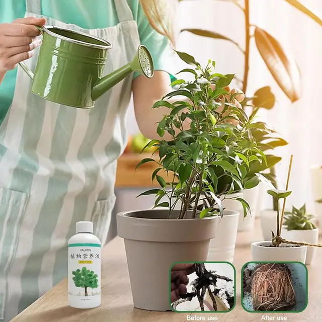 100Mlroot Növekedési Hormonok Gyökerező Dugványokhoz Folyékony Nagyteljesítményű Szerves Növények Transzplantációk Zöldség - Image 5