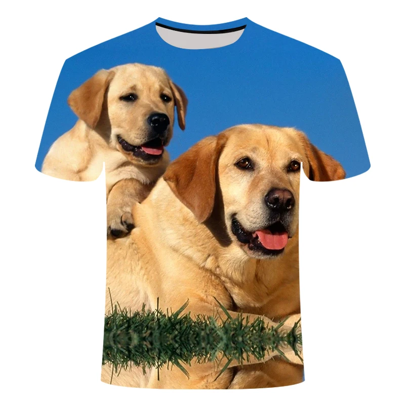 

Новинка 2023, футболки для домашних животных с 3D рисунком собаки, Лабрадор Ретривер, большой Рисунок, могут быть изготовлены по индивидуальному заказу, для детей и взрослых