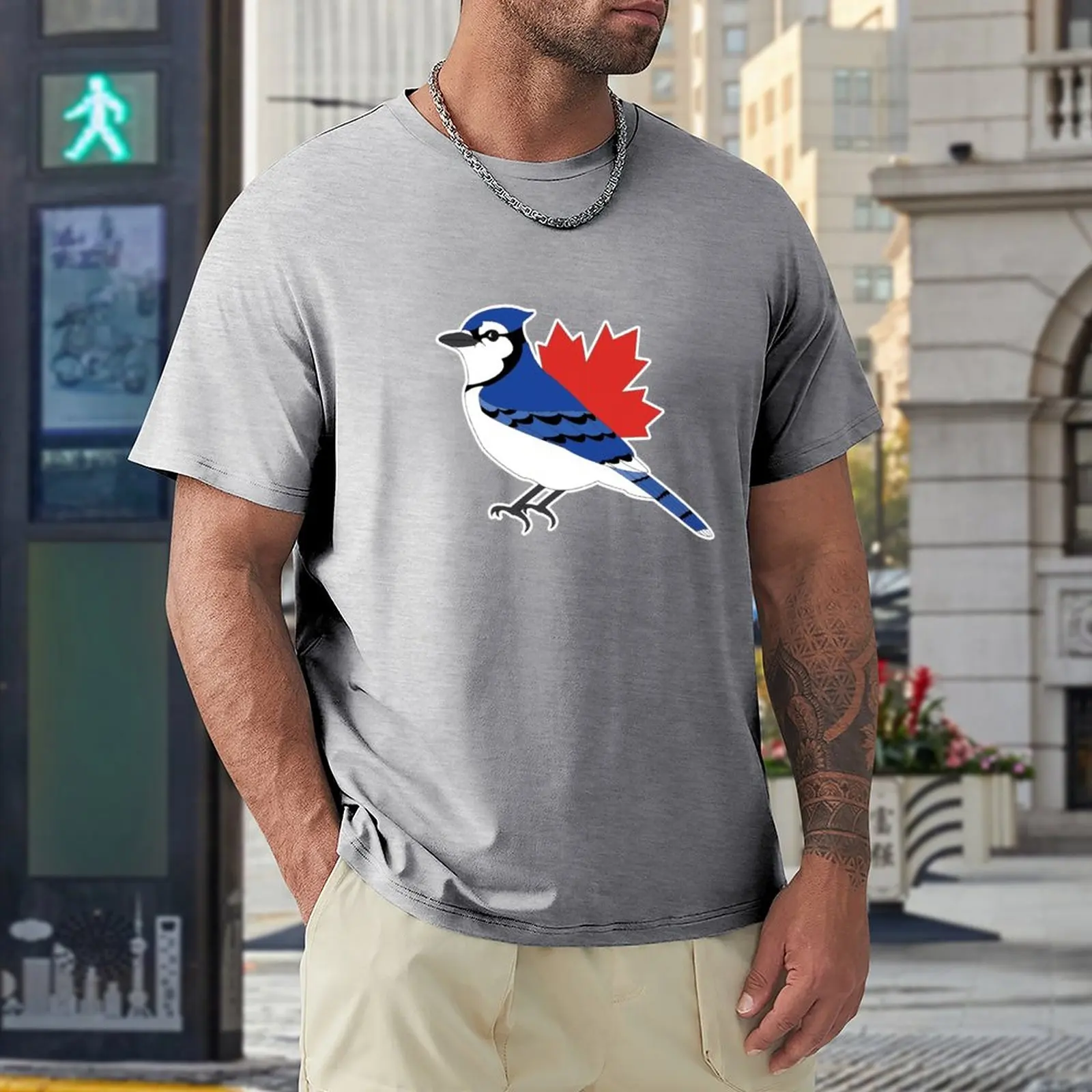 Blue Jay T-Shirts man Aesthetic clothing mens plain t shirts